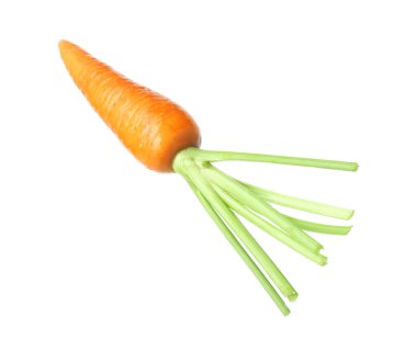 Taze olgun bir havuç beyazda izole edilmiş.