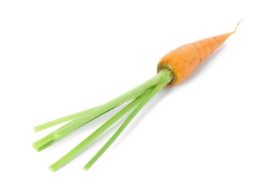 Taze olgun bir havuç beyazda izole edilmiş.