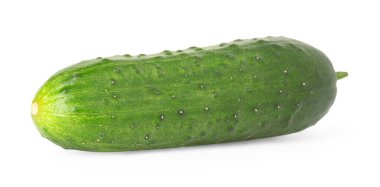 Bir taze yeşil salatalık beyaza izole edilmiş.