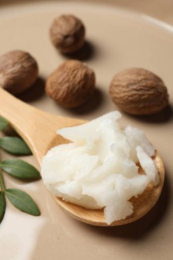 Kaşık içinde doğal Shea yağı, fındık ve yeşil dal tabakta, yakın plan.
