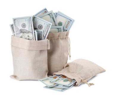 Beyaz torbalarda izole edilmiş dolar banknotları