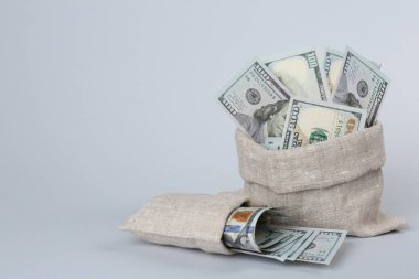 Gri arkaplandaki çantalarda dolar banknotları, metin için boşluk