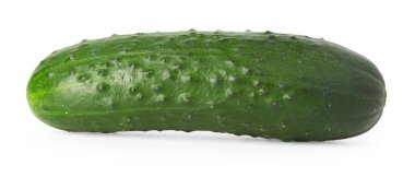 Bir taze yeşil salatalık beyaza izole edilmiş.