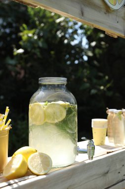 Limonata standı, ferahlatıcı içecek ve parkta taze meyveler.