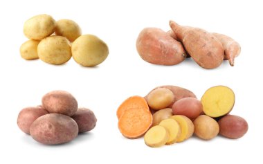 Different types of potatoes isolated on white, collection clipart