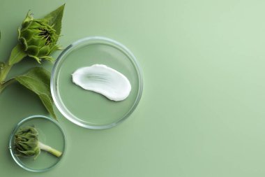 Yeşil arka planda kozmetik ürünleri ve ayçiçekleri olan petri kapları düz. Metin için boşluk