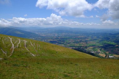 Dağlardaki yeşil ormanın resimli görüntüsü