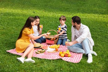 Güzel bir aile parkta piknik yapıyor.