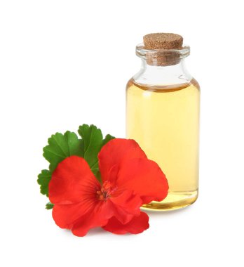 Bir şişe sardunya yağı ve beyaz üzerine izole edilmiş güzel bir çiçek.