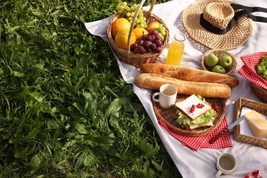 Piknik sepeti, farklı atıştırmalıklar, meyve suyu ve yeşil çimlerin üzerinde şapka, mesaj için yer