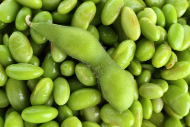 Arkaplan olarak soya fasulyesi üzerinde çiğ yeşil edamame kabuğu, üst görünüm