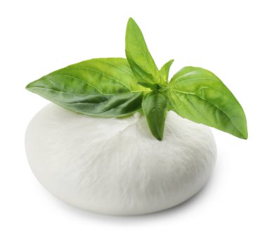 Lezzetli burrata peyniri ve fesleğen beyaz üzerine izole edilmiş.