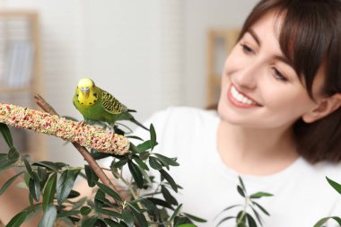 Parlak papağanı olan bir kadın, seçici bir odak noktası var. Egzotik hayvan