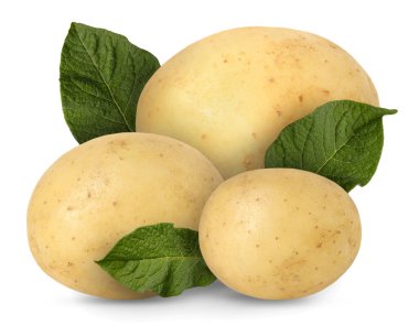 Beyaz üzerine izole edilmiş patates ve yeşil yapraklar.