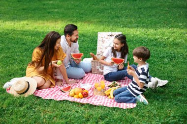 Mutlu aile parkta piknik yapıyor.