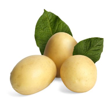 Beyaz üzerine izole edilmiş patates ve yeşil yapraklar.