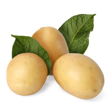 Beyaz üzerine izole edilmiş patates ve yeşil yapraklar.