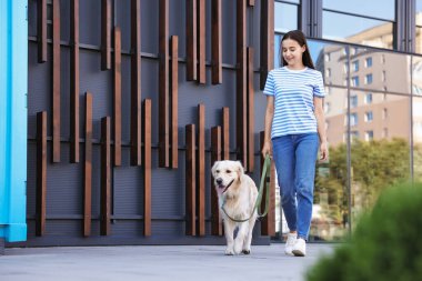 Güzel Golden Retriever köpeğiyle gezen mutlu bir sahibi var. Metin için boşluk