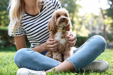 Parkta sevimli köpekli bir kadın, yakın plan.