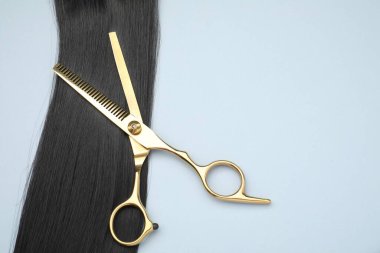 Açık gri arka planda siyah saç teli, tarak ve profesyonel makas, üst görünüm