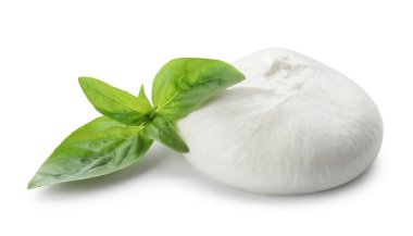 Lezzetli burrata peyniri ve fesleğen beyaz üzerine izole edilmiş.
