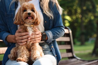 Parktaki bankta sevimli köpekli kadın, yakın plan.