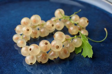Taze kuşüzümü ve yeşil yaprak mavi tabakta, yakın plan.