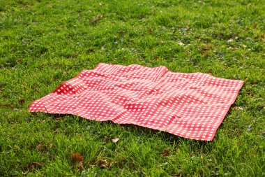 Yeşil çimlerin üzerinde kareli bir piknik örtüsü