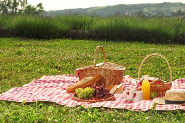 Piknik sepeti, farklı atıştırmalıklar, meyve suyu ve hasır şapka açık havada kırmızı kareli battaniye