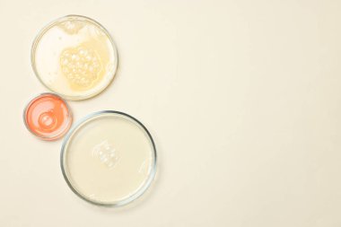 Petri dishes with samples on beige background, top view. Space for text clipart