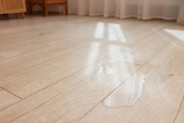 stock image Puddle of liquid on wooden floor indoors, closeup. Space for text