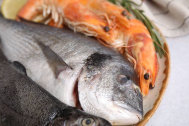 Açık gri masada farklı taze deniz ürünleri, yakın plan.