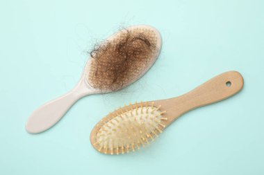 Açık mavi arka planda saçı dökülmüş fırçalar, düz uzanmış. Alopecia sorunu