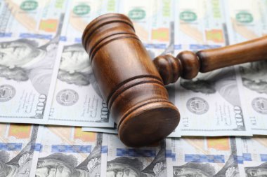 Nafaka. Hakim tokmağı dolar banknotları, yakın plan.