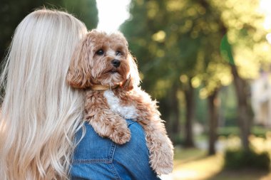 Parkta sevimli köpekli bir kadın, arka manzara. Metin için boşluk