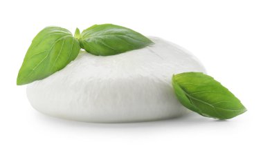 Lezzetli burrata peyniri ve fesleğen beyaz üzerine izole edilmiş.