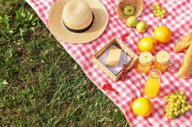 Dışarıdaki kareli battaniyede piknik için farklı atıştırmalıklar ve meyve suyu. Metin için boşluk