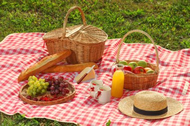 Piknik sepeti, farklı atıştırmalıklar, meyve suyu ve hasır şapka açık havada kırmızı kareli battaniye
