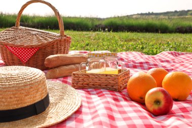 Piknik sepeti, farklı atıştırmalıklar, meyve suyu ve hasır şapka açık havada kırmızı kareli battaniye
