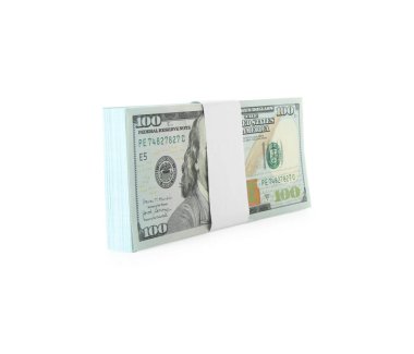 Beyaz üzerine izole edilmiş dolar yığını