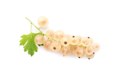 Taze üzümlü üzümler ve yeşil yaprak beyaza izole edilmiş.