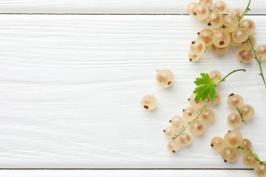 Taze üzümlü üzümler ve beyaz ahşap masa üzerinde yeşil yaprak, üst manzara. Metin için boşluk