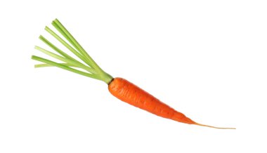 Taze olgun bir havuç beyazda izole edilmiş.