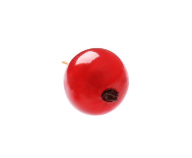 Bir taze kırmızı kuş üzümü beyaza izole edilmiş.