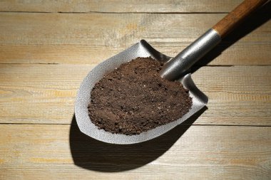 Tahta masanın üzerinde toprak olan metal kürek.