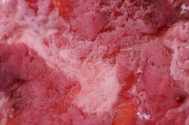 Arka plan olarak bakteri kültürü örneği, makro görünüm