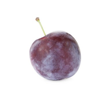 Taze olgun bir erik beyaza izole edilmiş.