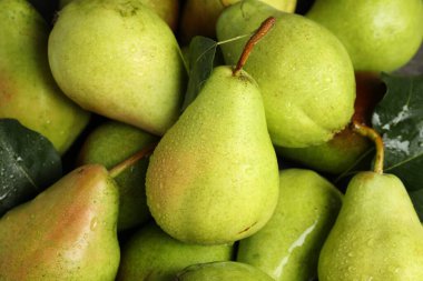 Many fresh ripe pears as background, top view clipart