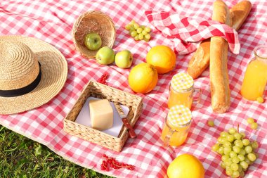 Açık havada kareli battaniyede piknik yapmak için farklı atıştırmalıklar ve meyve suyu.