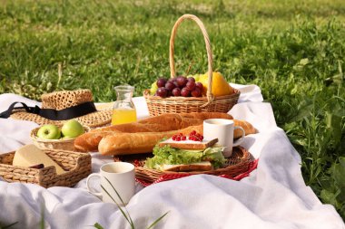 Piknik sepeti, farklı atıştırmalıklar, meyve suyu ve yeşil çimlerin üzerinde şapka.